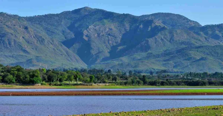Picture of scene of rawal lake.