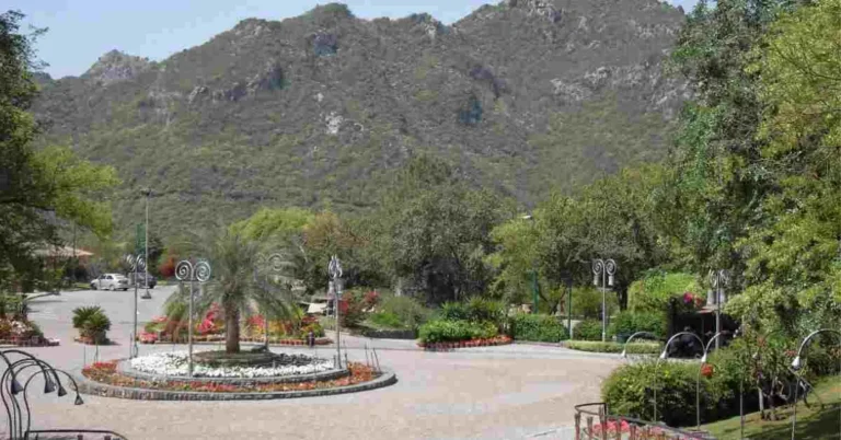 Beautiful greenery at Daman-e-Koh.