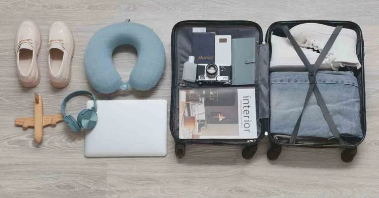 Image showcasing essential travel accessories including neck-pillow and camera.