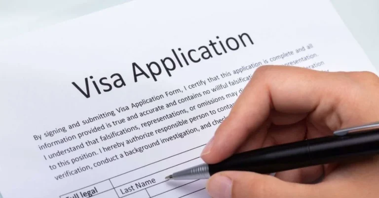 Image showcasing demo visa application front page.