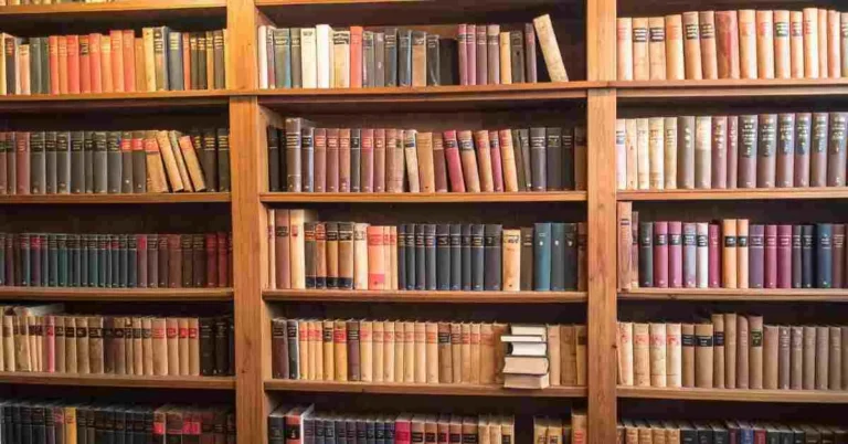 Image showcasing books.